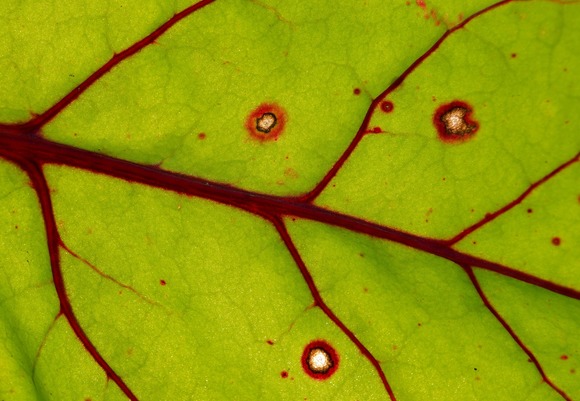 Vessels 2851515 1920