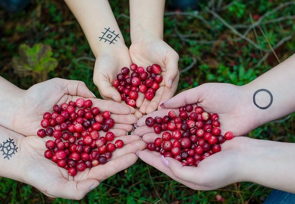 Cranberries 2810138 640