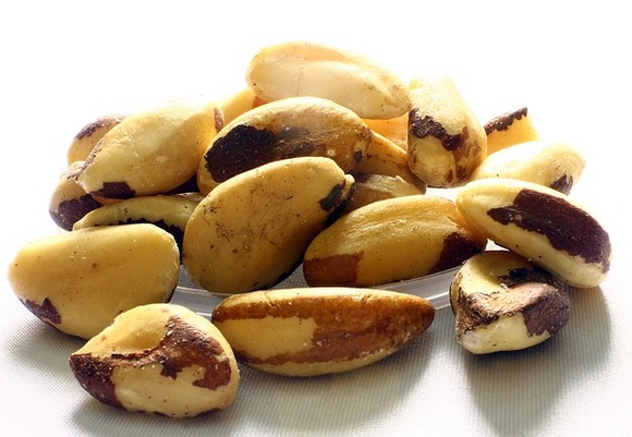 Brazil nut 638972 640