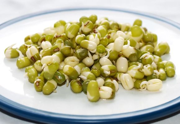 1280px mung beans sprouted