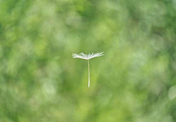 Wolfgang hasselmann gk9kkpizyas unsplash